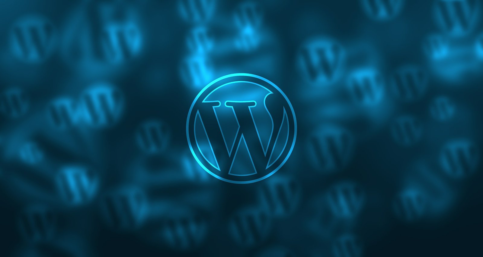 WordPress vs. Custom Development: What’s Best for Your Business in 2026?